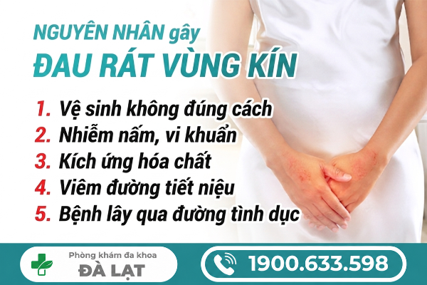 Hình ảnh minh họa